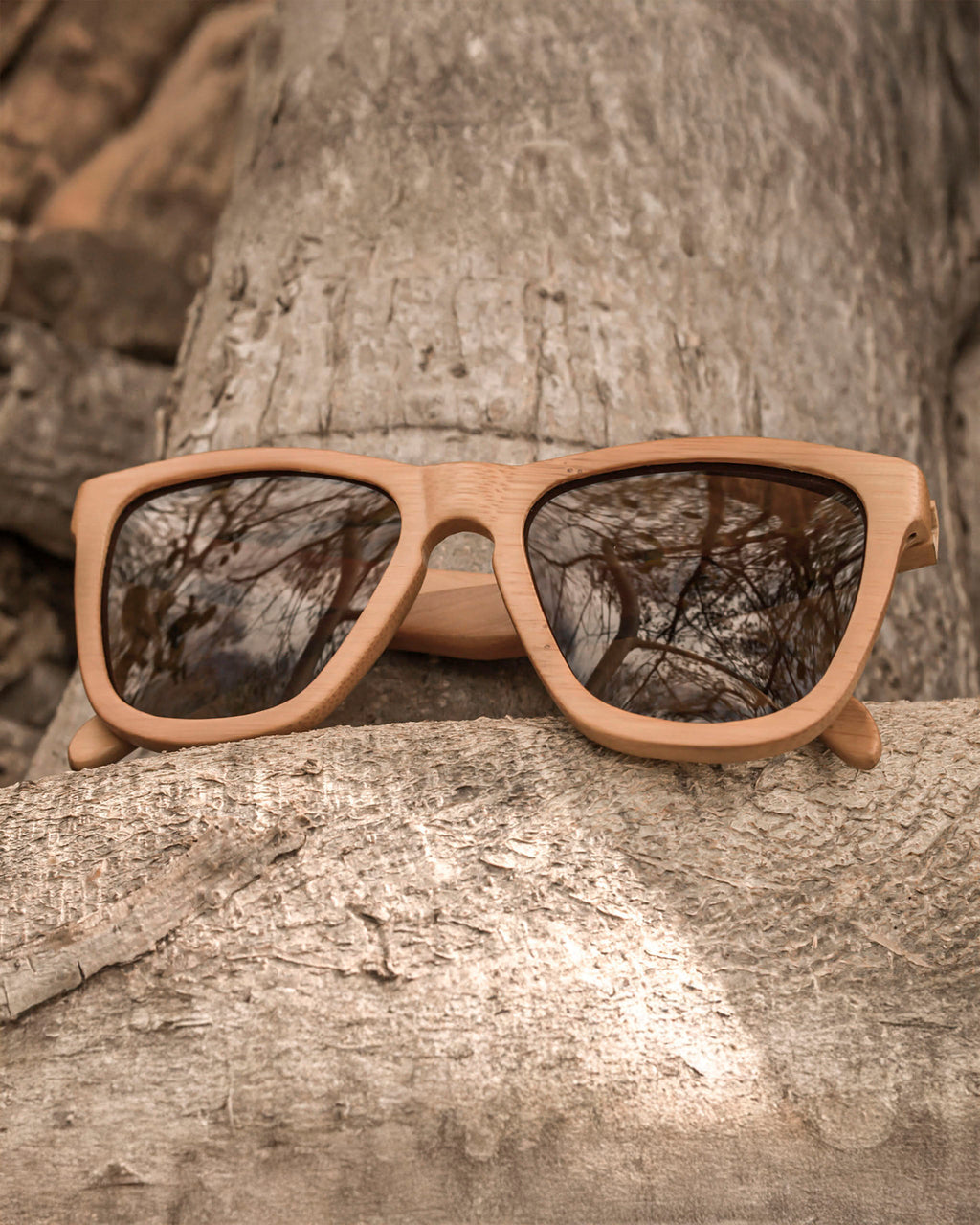 Reverse Ra | Polarized Bamboo Sunglasses-2
