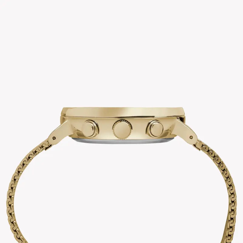 Timex Men's Gold Stainless Steel Watch, White Dial | TW2R27200-1